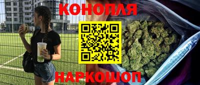 прущие крисы Краснознаменск