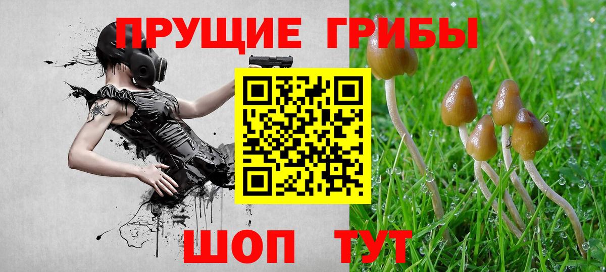 Псилоцибиновые грибы Cubensis Изобильный