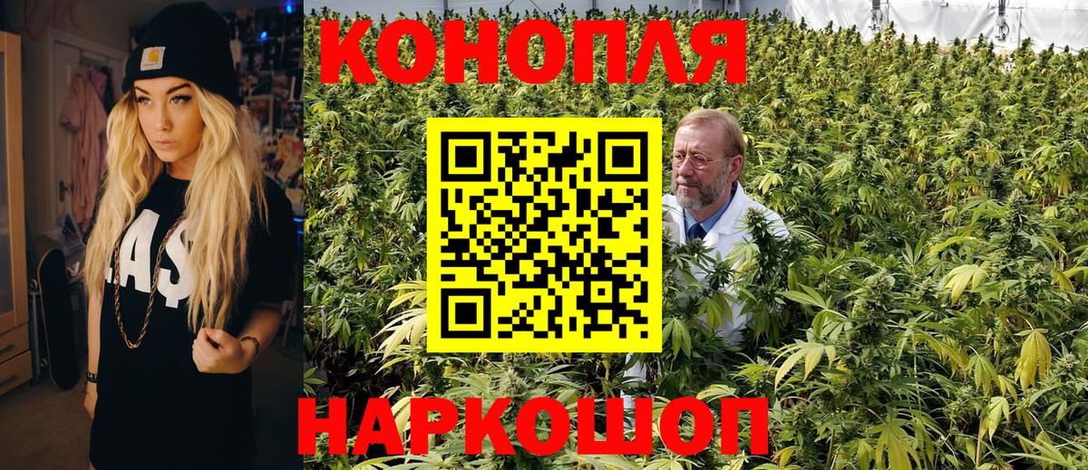 Конопля гибрид  Конопля конопля  Вход с VPN  Изобильный 